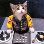 kitty-dj1